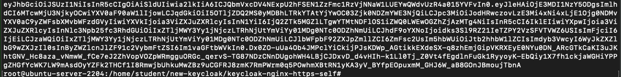 Connect Kubernetes to Keycloak