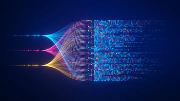 Multi-Layer Perceptron (MLP)